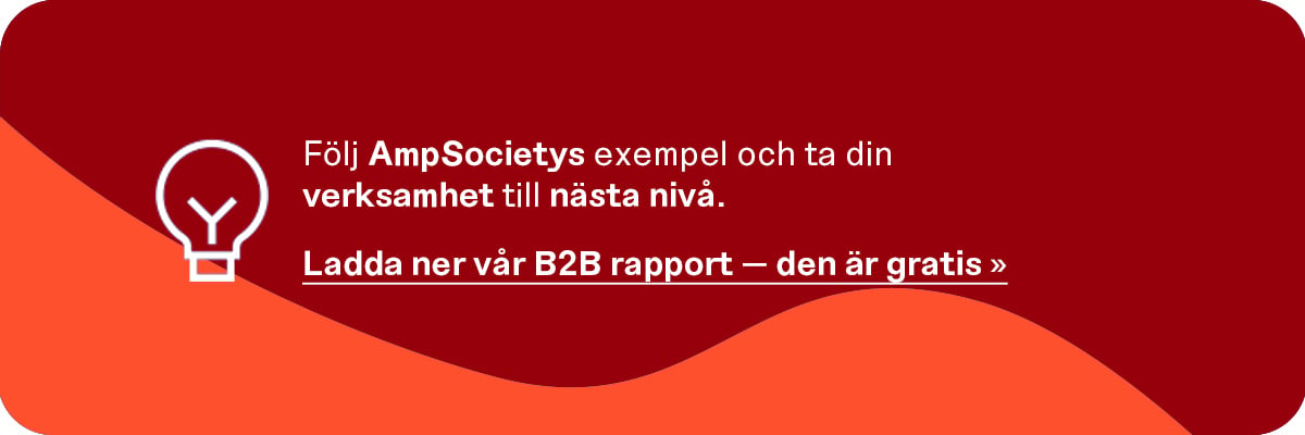Amp_b2breport_SE