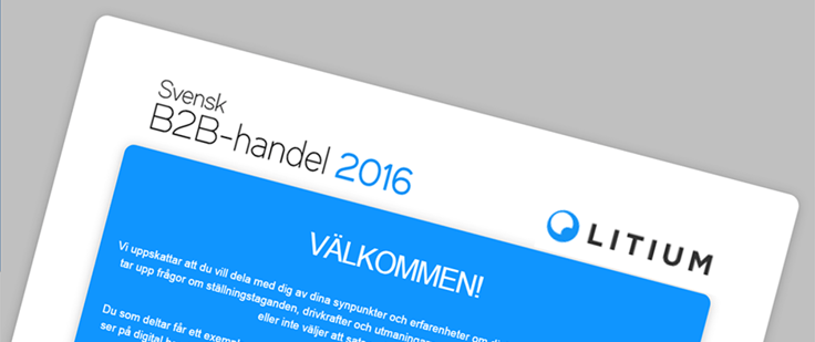 Nu tar vi tempen på svenska B2B-företags e-handelssatsningar