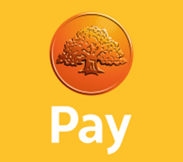 Swedpank Pay